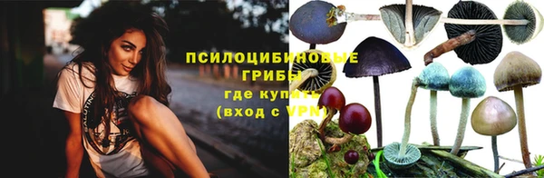 соль ск Алзамай