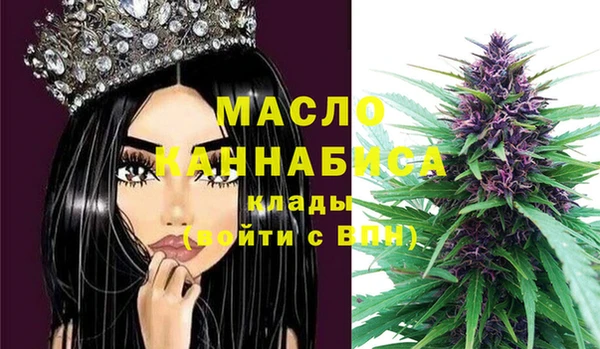 индика Армянск