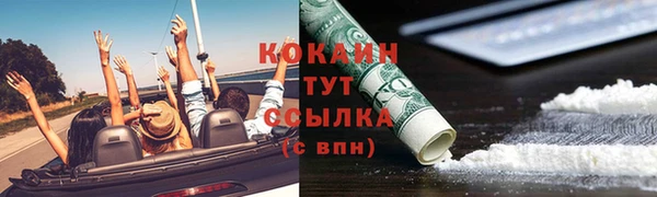 соль ск Алзамай