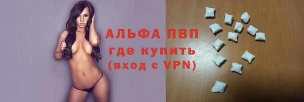 стаф Алексин