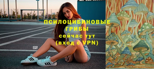 индика Армянск