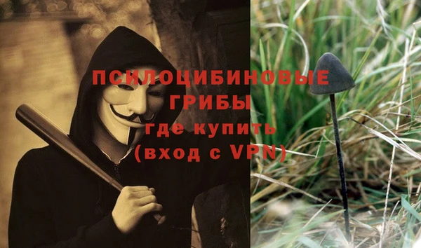 соль ск Алзамай