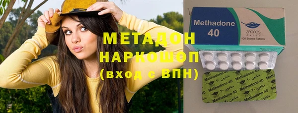 стаф Алексин