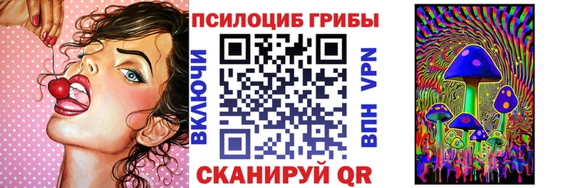 купить закладку  Волгодонск  Галлюциногенные грибы Cubensis 