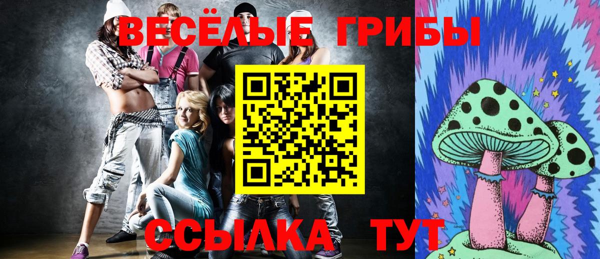 Волгодонск  Псилоцибиновые грибы прущие грибы  Вход с VPN 